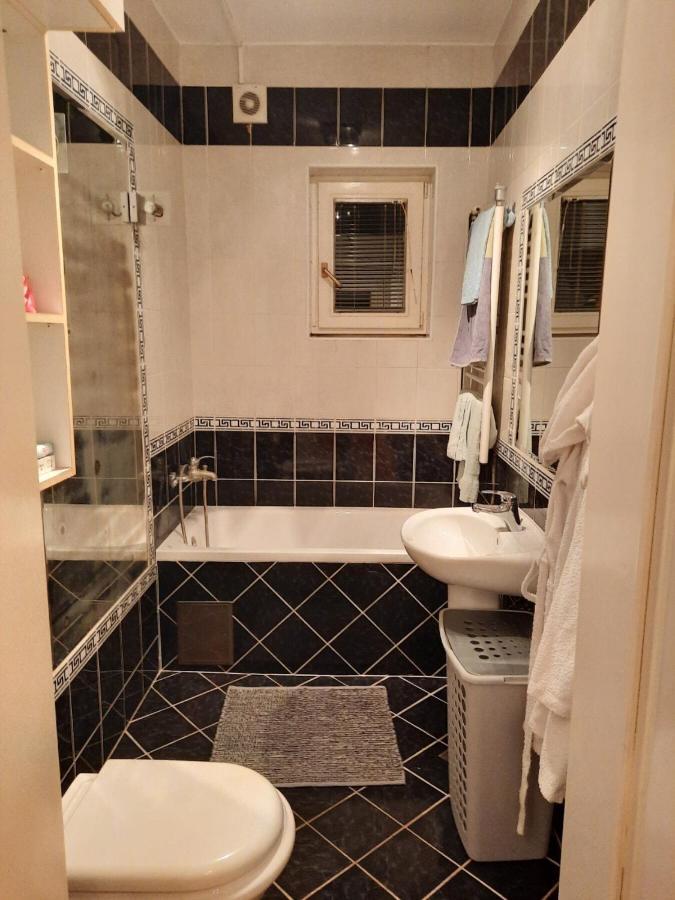 Apartment Stan Na Dan Tijana Bijeljina